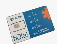 CHIP DE ENTEL